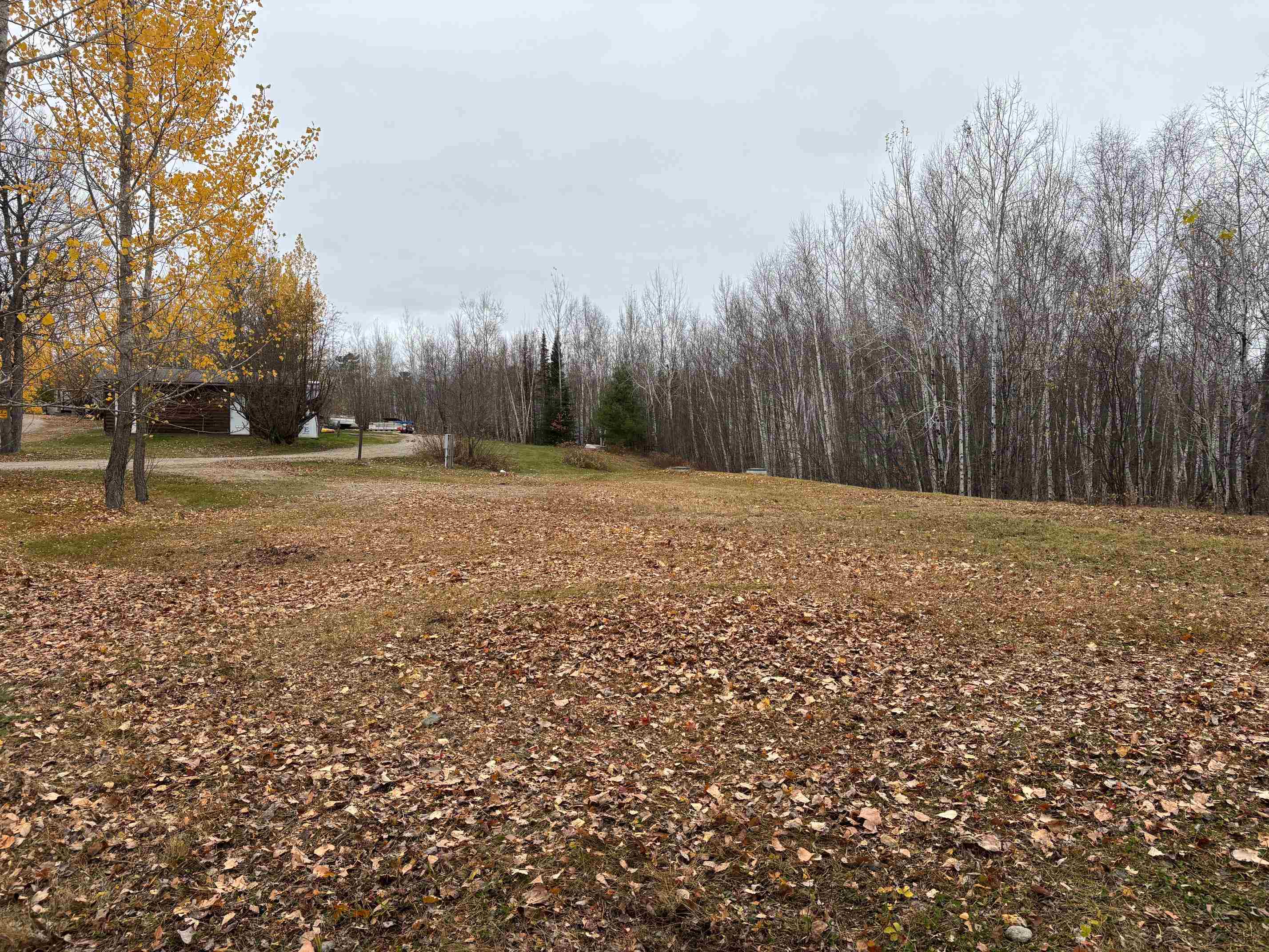 444 Fernberg Road Ely, MN 55731 - Photo 3 of 8 View of yard with a wooded view