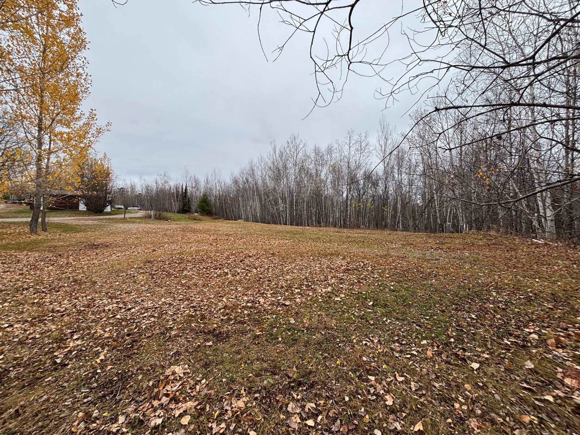 444 Fernberg Road Ely, MN 55731 - Photo 4 of 8 View of yard