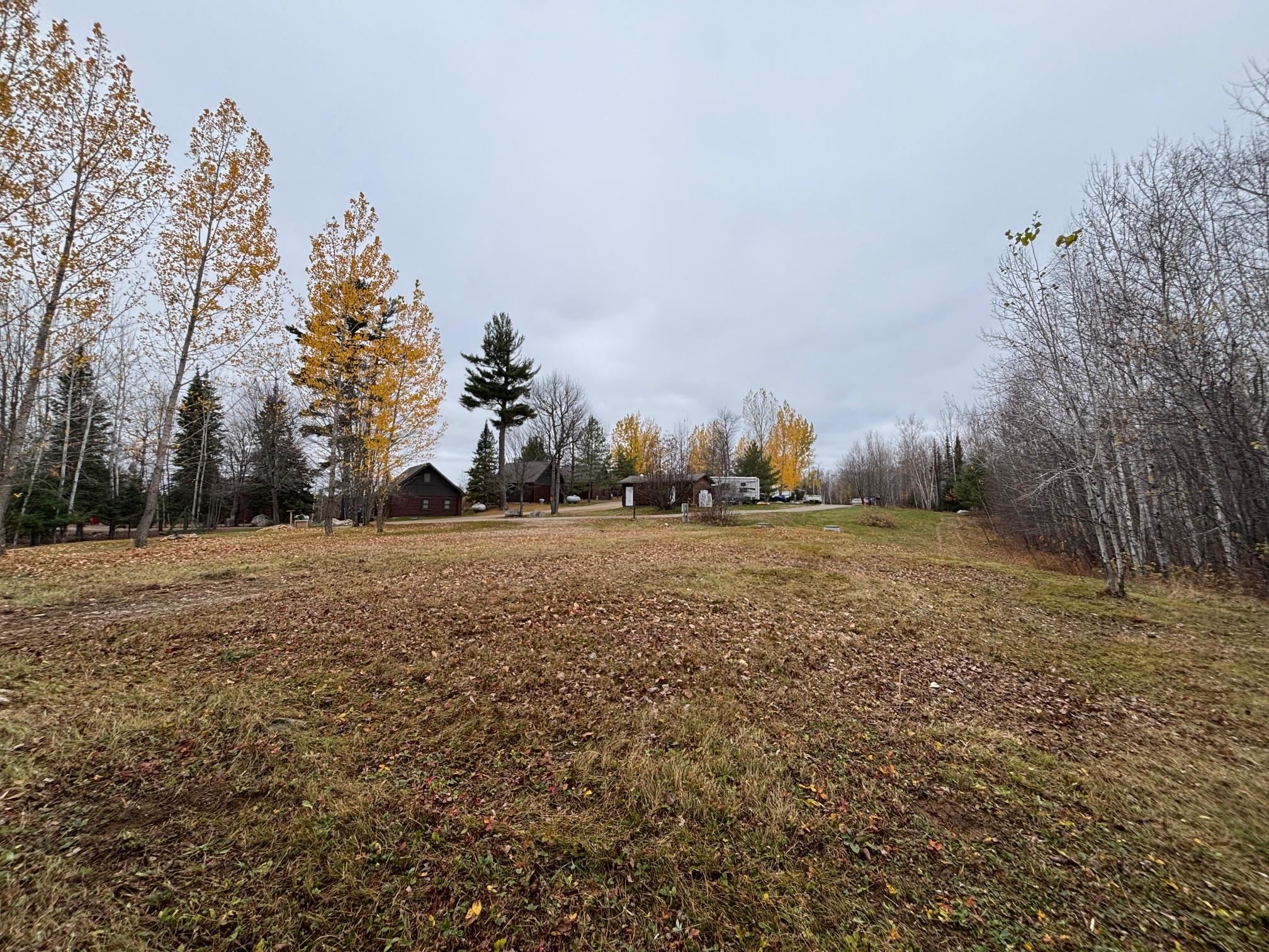 444 Fernberg Road Ely, MN 55731 - Photo 5 of 8 View of yard