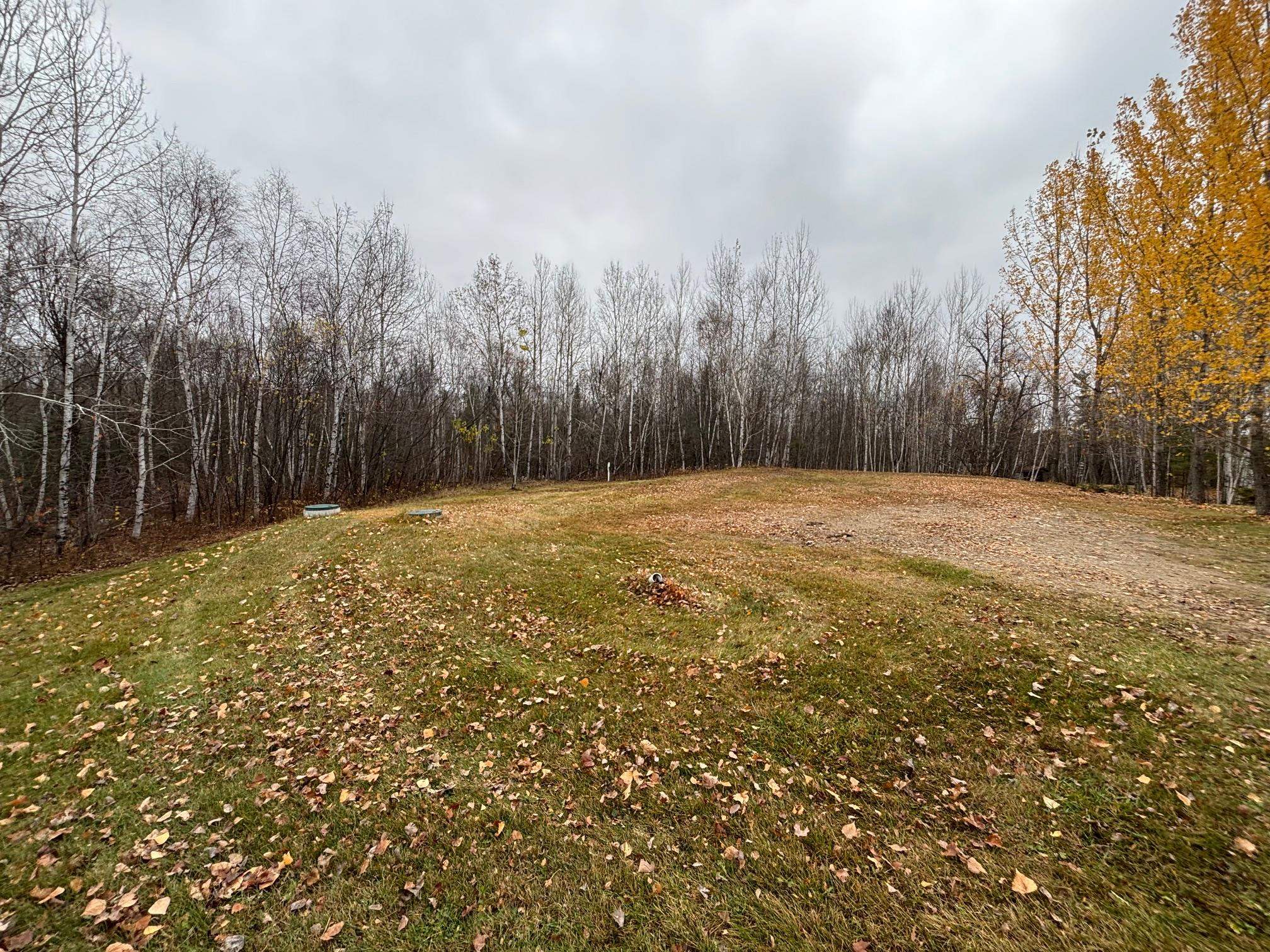444 Fernberg Road Ely, MN 55731 - Photo 7 of 8 View of grassy yard featuring a view of trees