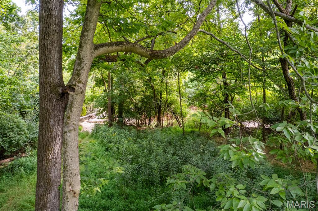 1110 Kiefer Creek Road Ballwin, MO 63021 - Photo 21 of 42