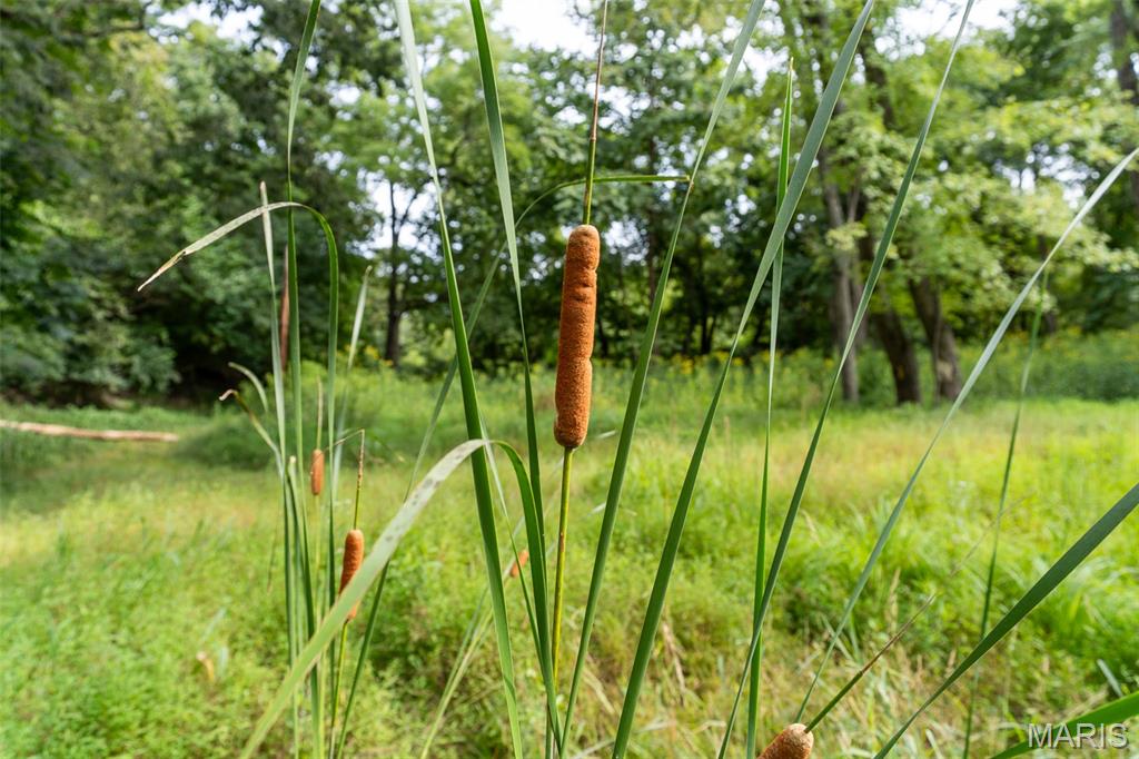 1110 Kiefer Creek Road Ballwin, MO 63021 - Photo 30 of 42