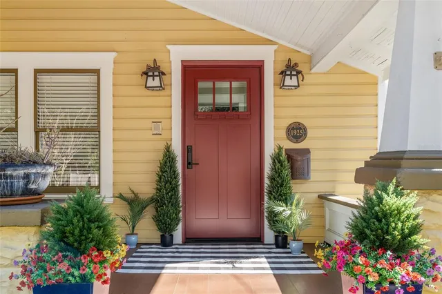 a potted plant sitting in front of a door