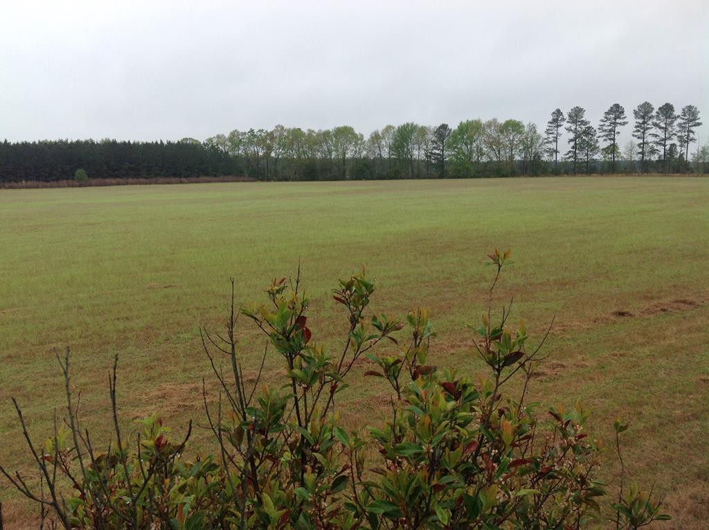 Tbd Tbd Dixie Road South Wagener, SC 29164 - Photo 25 of 25