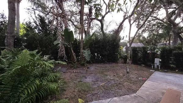 a backyard of a house with lots of green space
