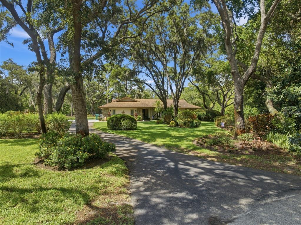 6403 Chiswick Court New Port Richey, FL 34655 - Photo 2 of 86