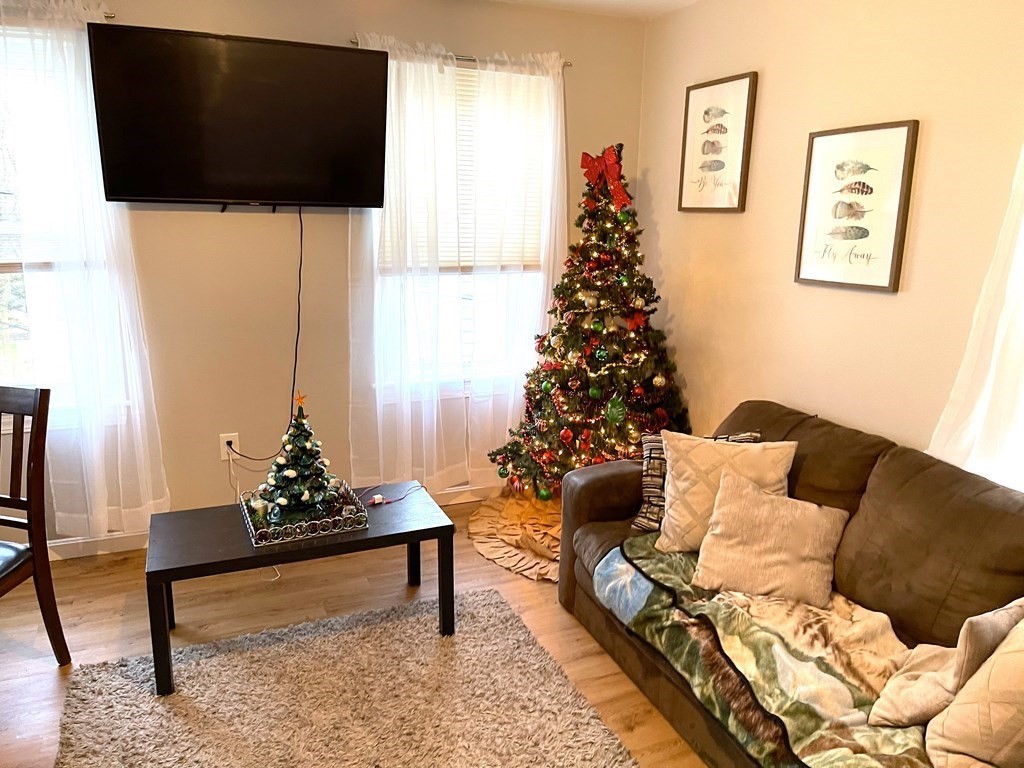 16 Thenius Street Worcester, MA 01607 - Photo 4 of 26 Gallery Image 4
