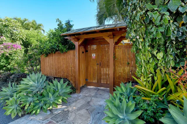 a view of a small house with potted plants and more windows
