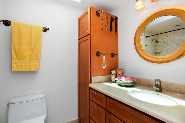 a view of backyard with plants