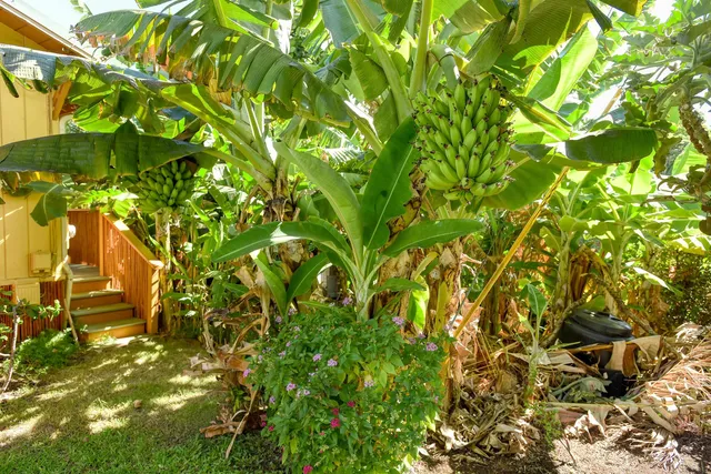 $2,195,000 | 679 Kaapuni Place, Kihei, HI 96753