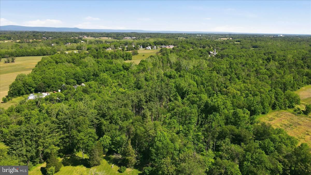 0 Reichard Road Fairplay, MD 21733 - Photo 2 of 8 Gallery Image 2