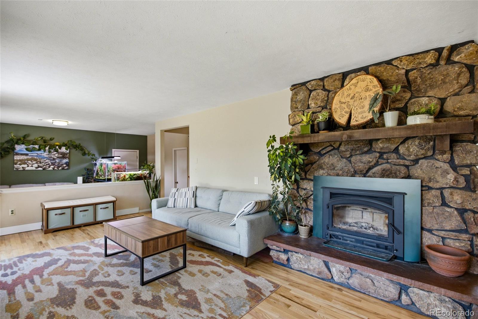 31280 Florence Road Conifer, CO 80433 - Photo 7 of 48 a living room with furniture a fireplace and a wooden floor