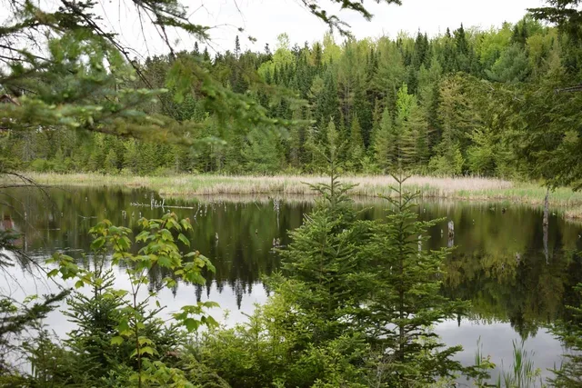 $420,000 | 364 Highway 3, Carroll, NH 03595