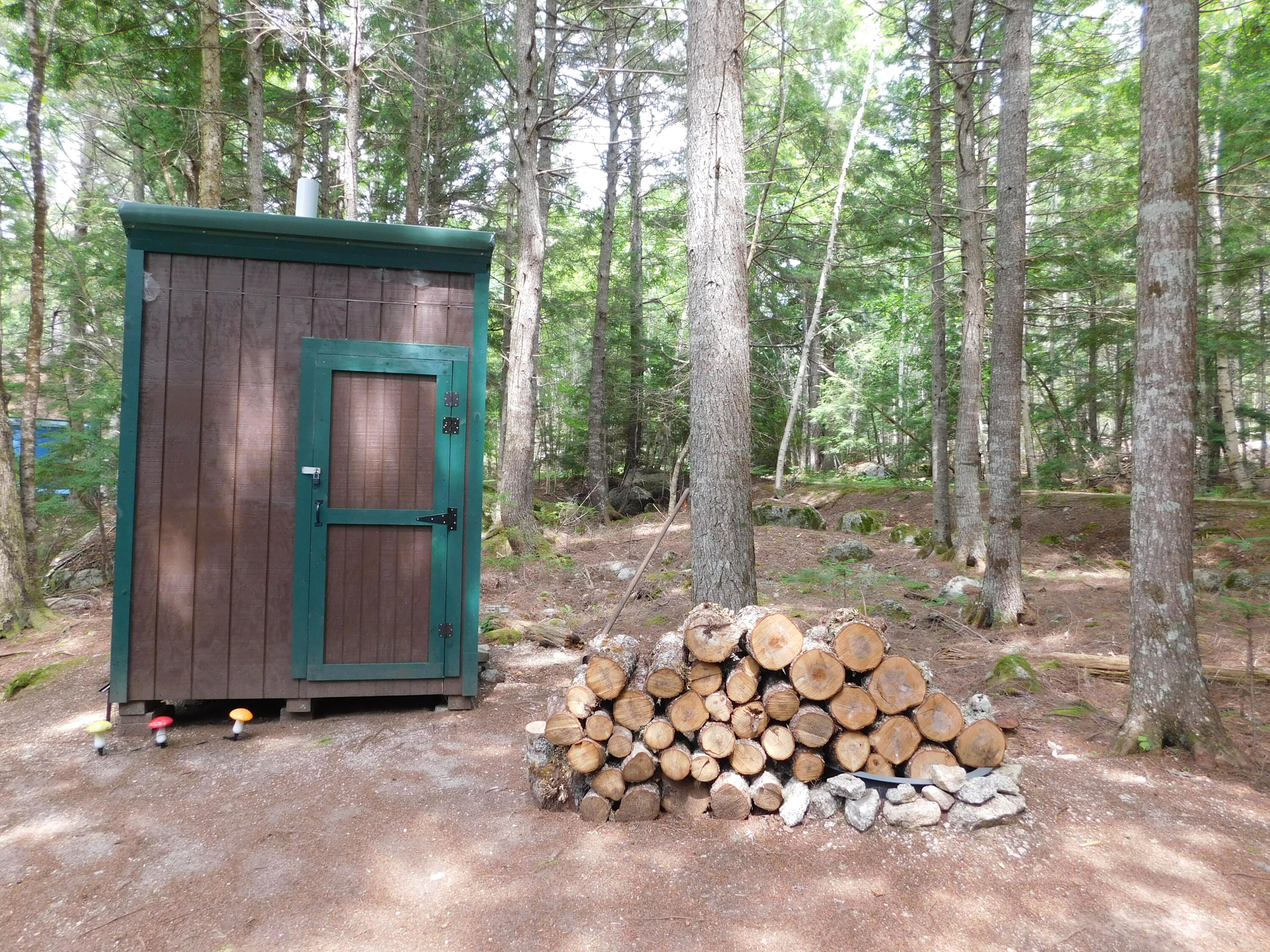 Lot 10 Lot Road Aurora, ME 04408 - Photo 21 of 53 DSCN8720