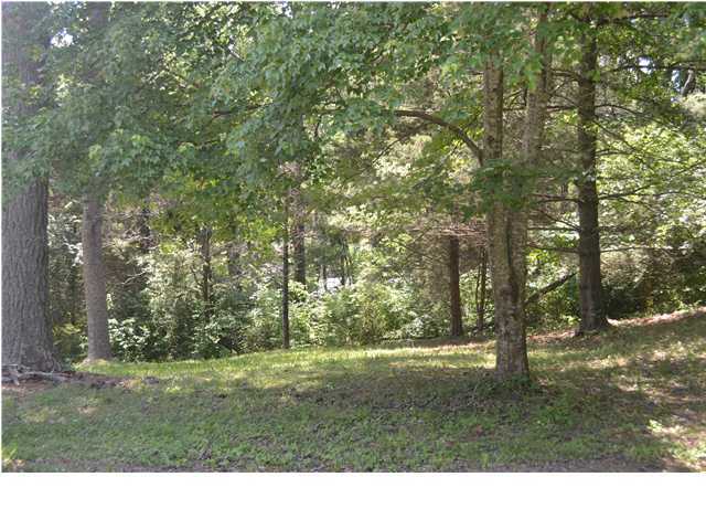 788 Munro Road Chattanooga, TN 37415 - Photo 20 of 22 Additional Photo