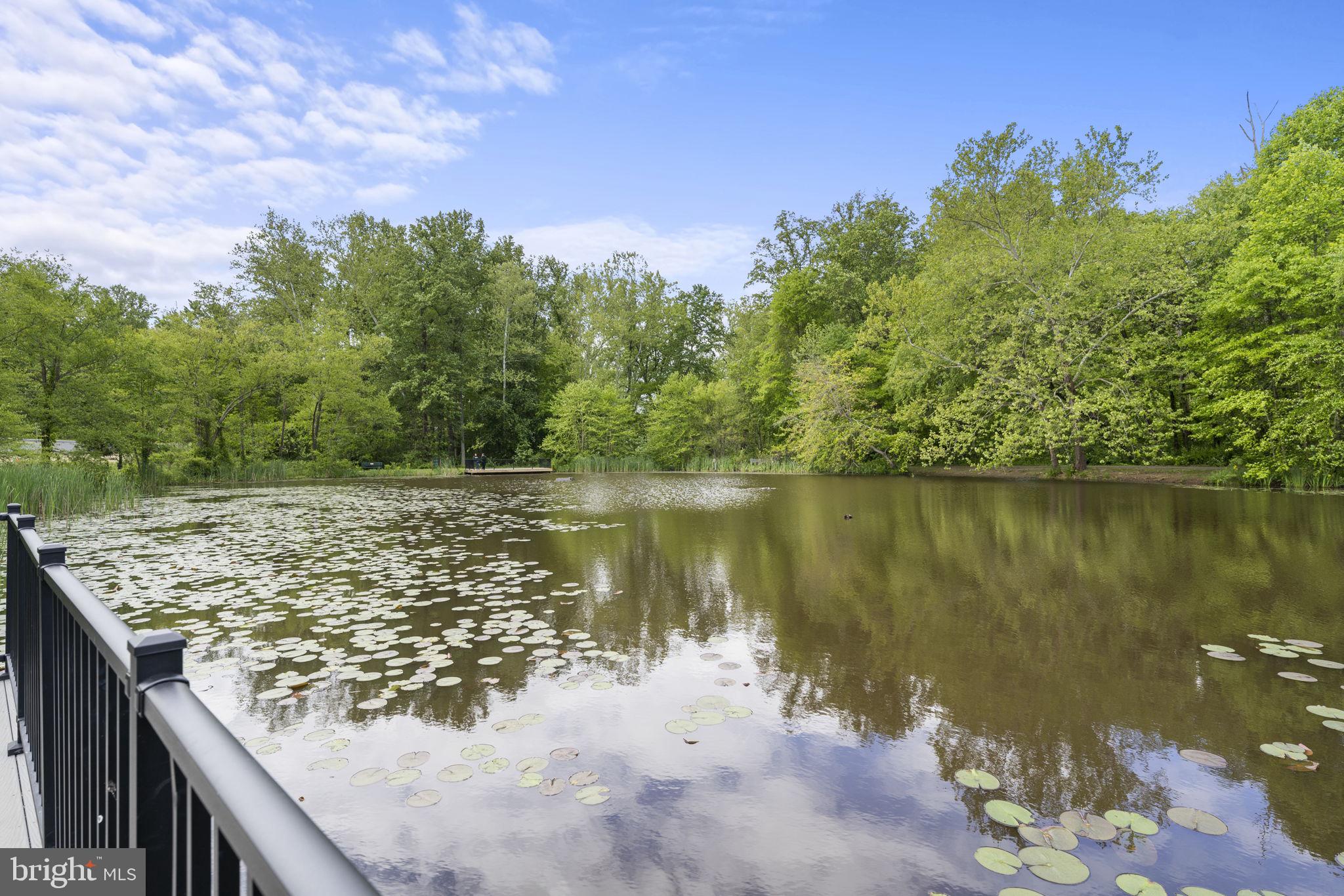 4678 Westfields Boulevard Chantilly, VA 20151 - Photo 30 of 50