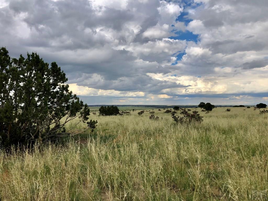 Tbd Ridge Road Walsenburg, CO 81089 - Photo 9 of 20