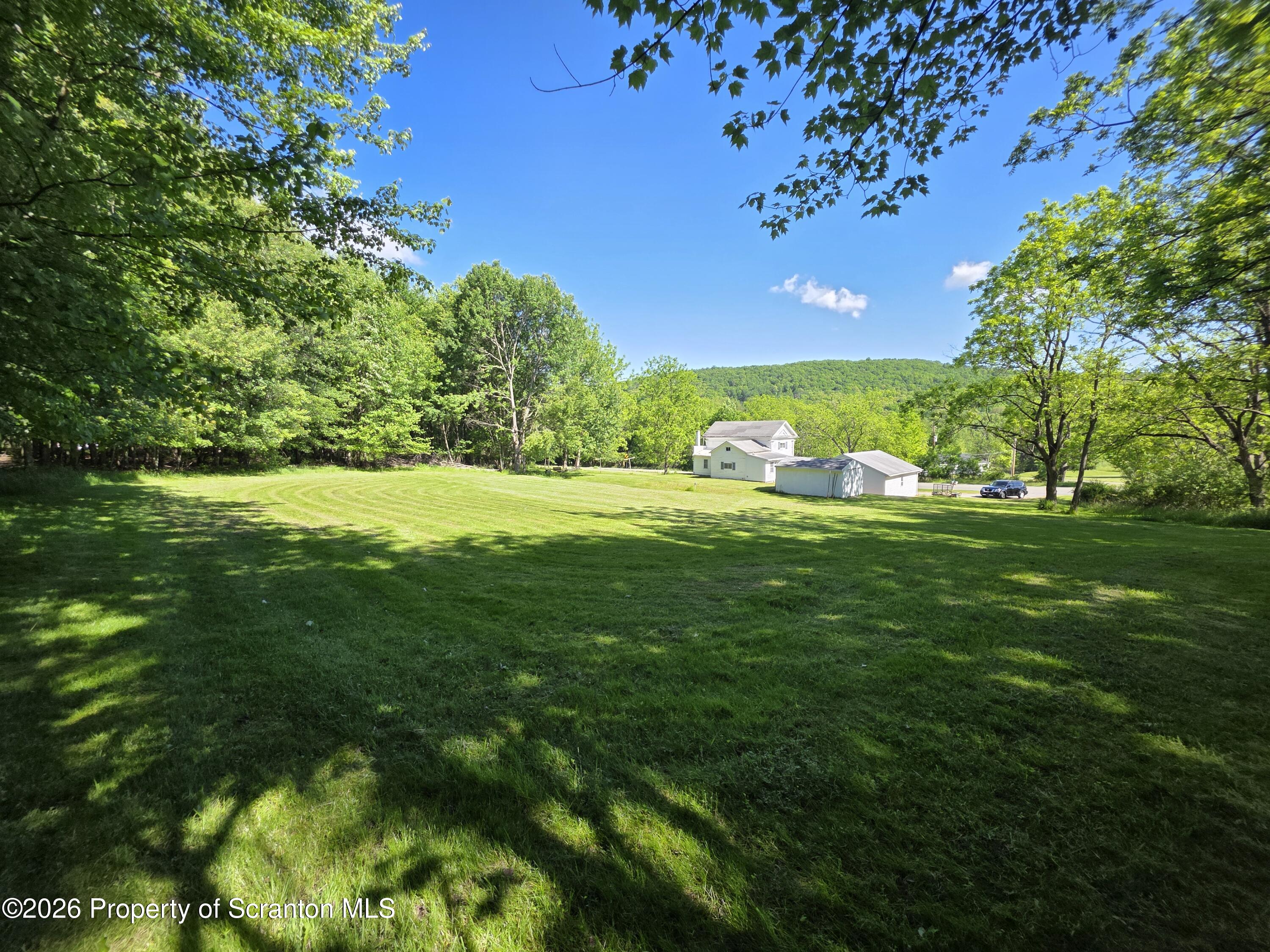 1333 Blue Berry Road Falls, PA 18615 - Photo 38 of 50 Yard