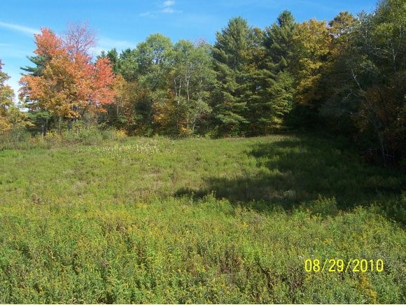 0 Harrington Road Cornish, NH 03745 - Photo 3 of 5