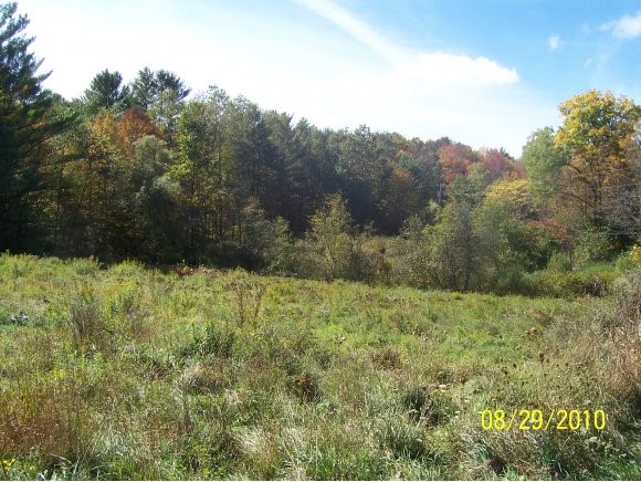 0 Harrington Road Cornish, NH 03745 - Photo 5 of 5