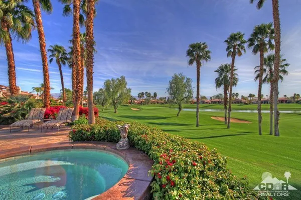 a view of a park with palm trees
