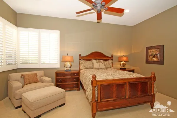 a view of a park with plants