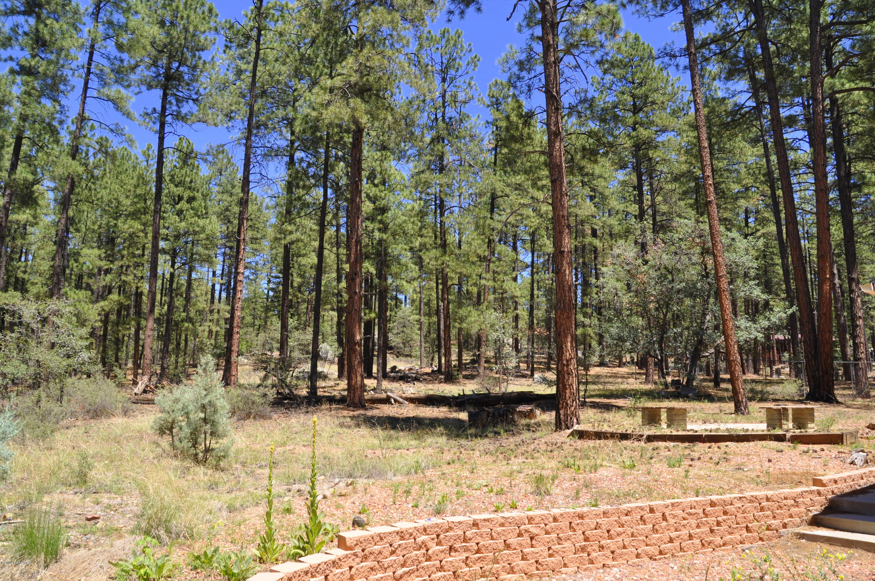 1334 East Stagecoach Road Prescott, AZ 86303 - Photo 7 of 35 DSC_0080