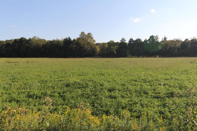 4200 Alsup Mill Road Lascassas, TN 37085 - Photo 1 of 2 a view of outdoor space and yard