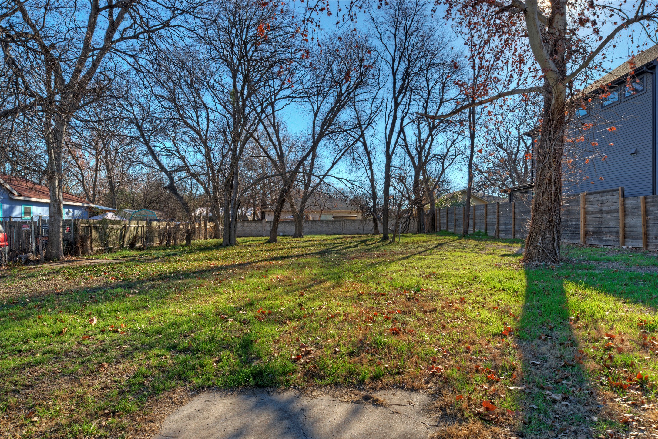 a view of a park with large trees