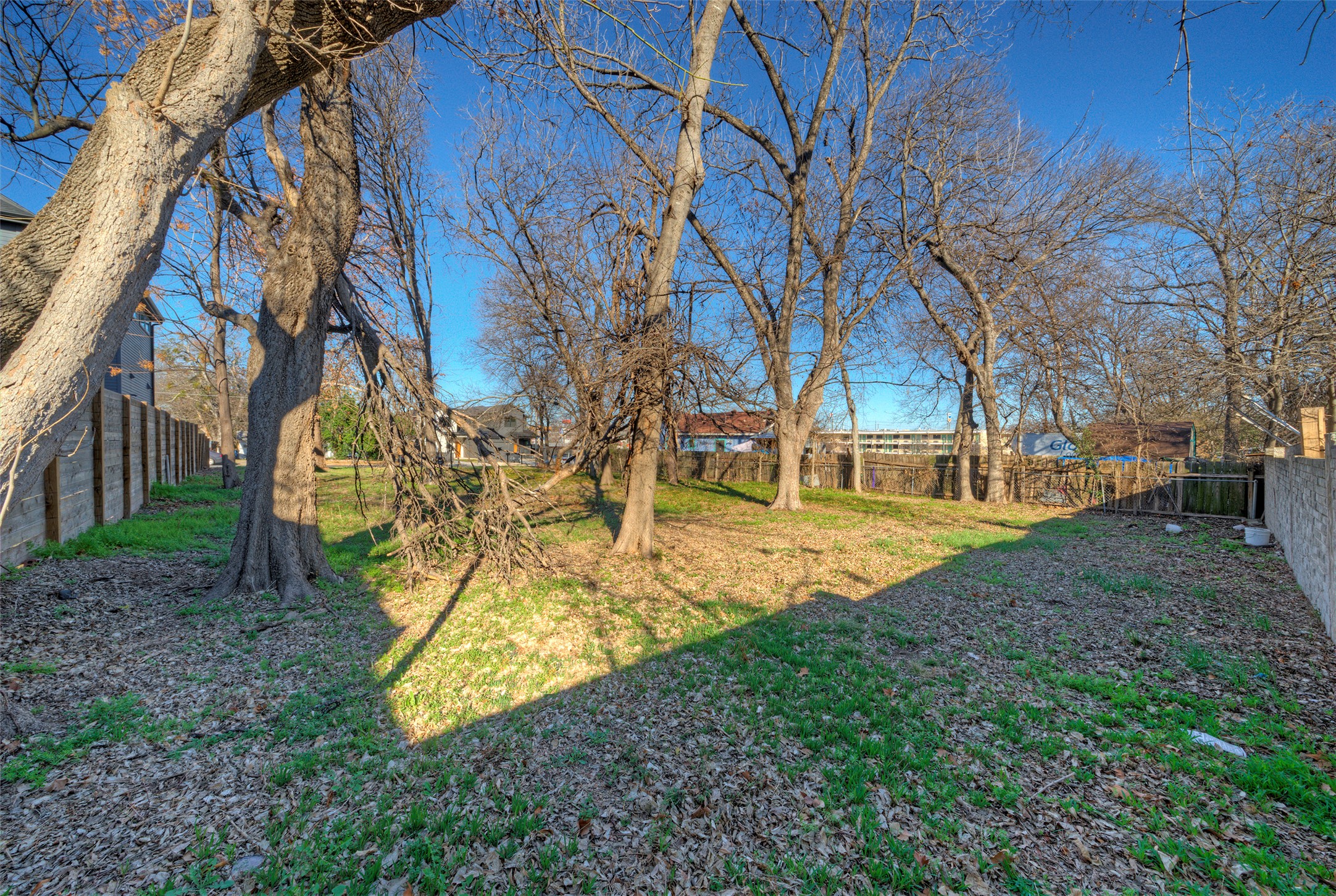 411 Hackberry Lane Austin, TX 78753 - Photo 12 of 18 a view of yard with tree