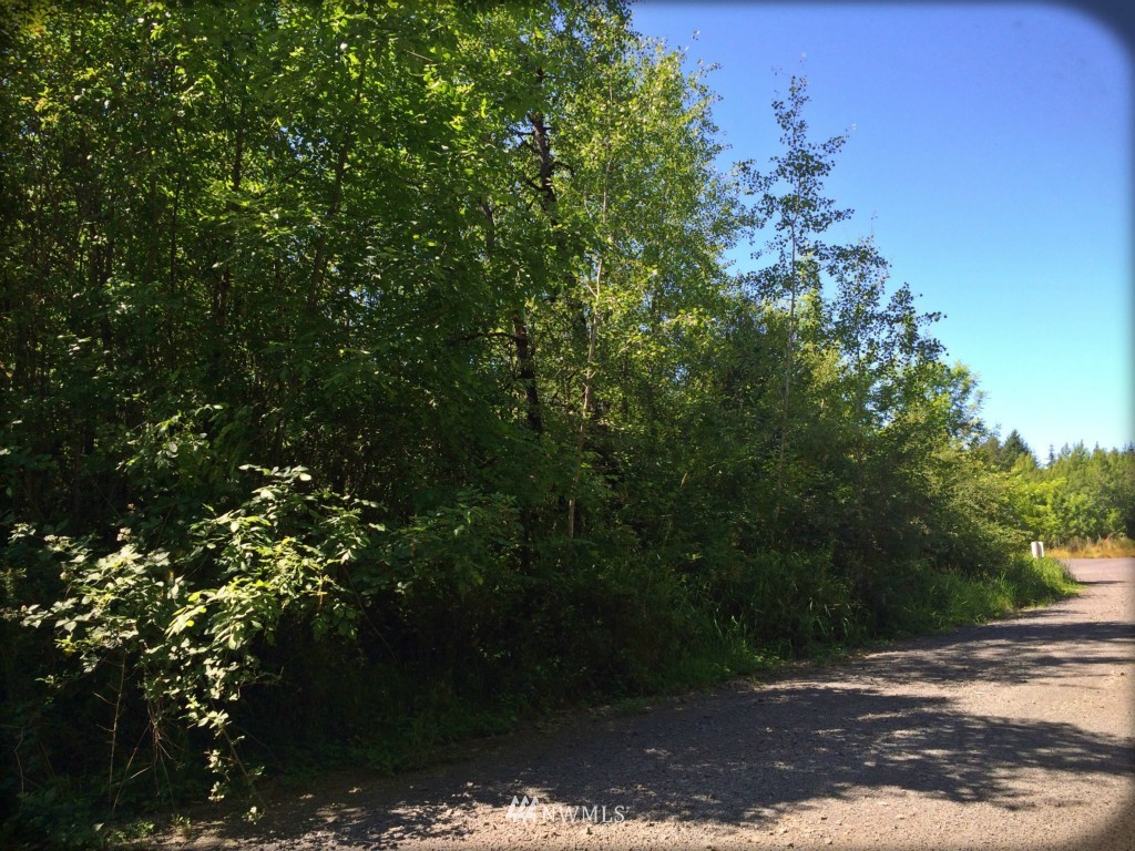 -xx Beville Road Chehalis, WA 98532 - Photo 2 of 4