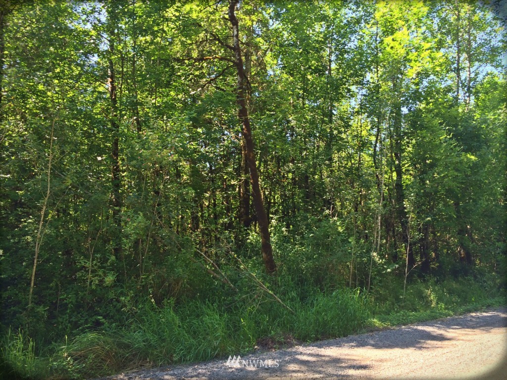 -xx Beville Road Chehalis, WA 98532 - Photo 3 of 4