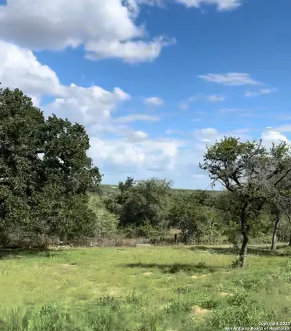 a view of grassy field with trees