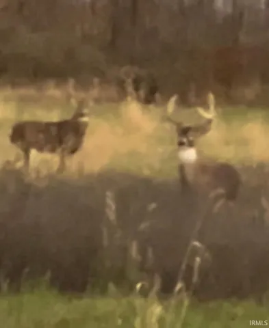 $131,150 | 15386 Makarios, Spencerville, IN 46788