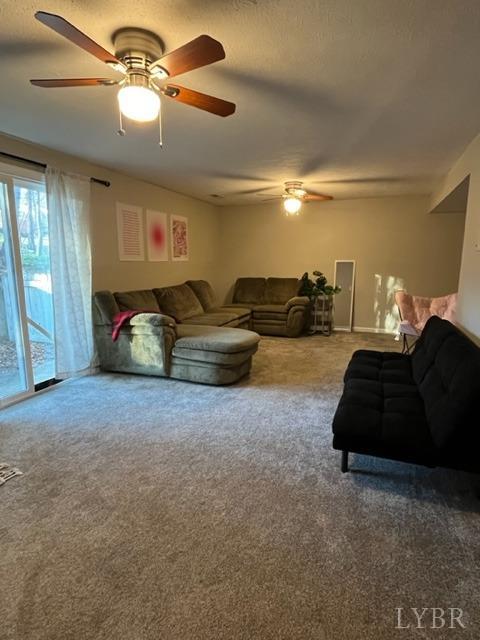 901 Goose Ridge Drive Forest, VA 24551 - Photo 5 of 5 Gallery Image 5