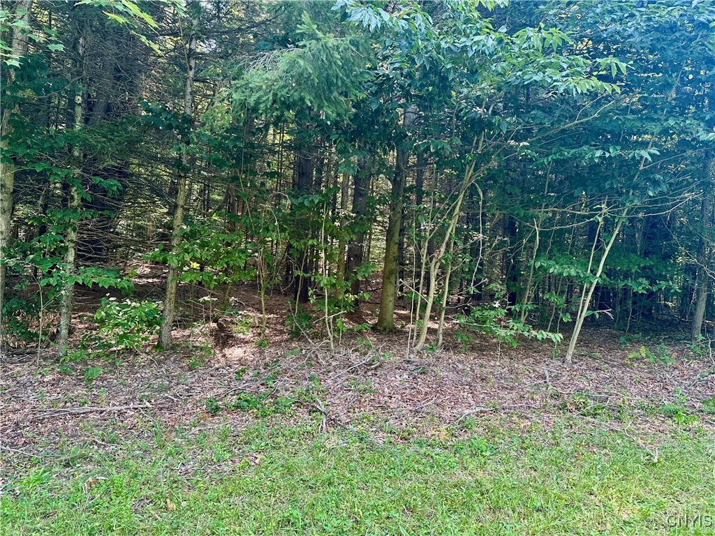 568 Martin Road Constantia, NY 13042 - Photo 4 of 5