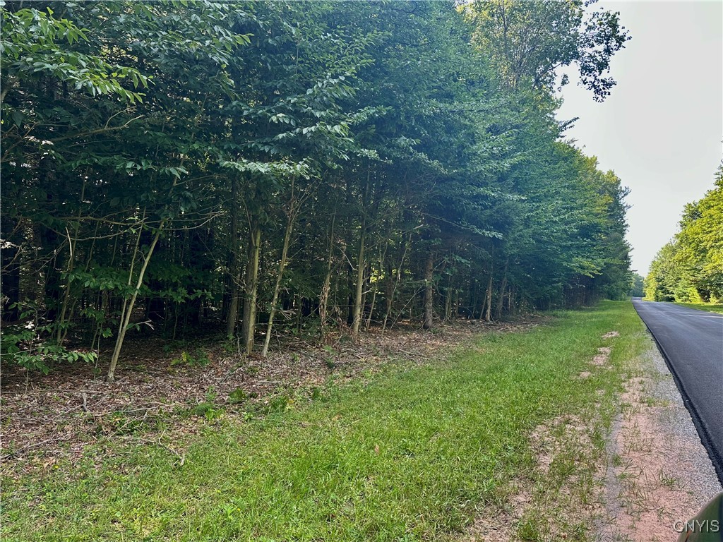 568 Martin Road Constantia, NY 13042 - Photo 5 of 5