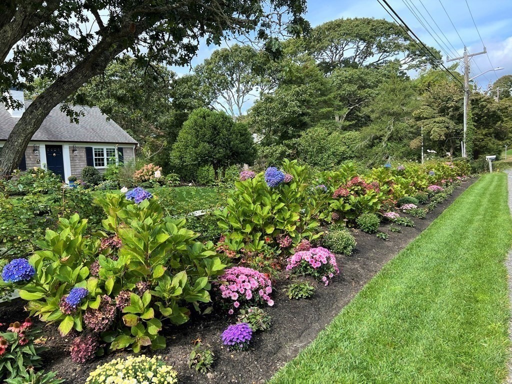 219 Training Field Road Chatham, MA 02633 - Photo 4 of 24 a view of a garden with a lot of flowers