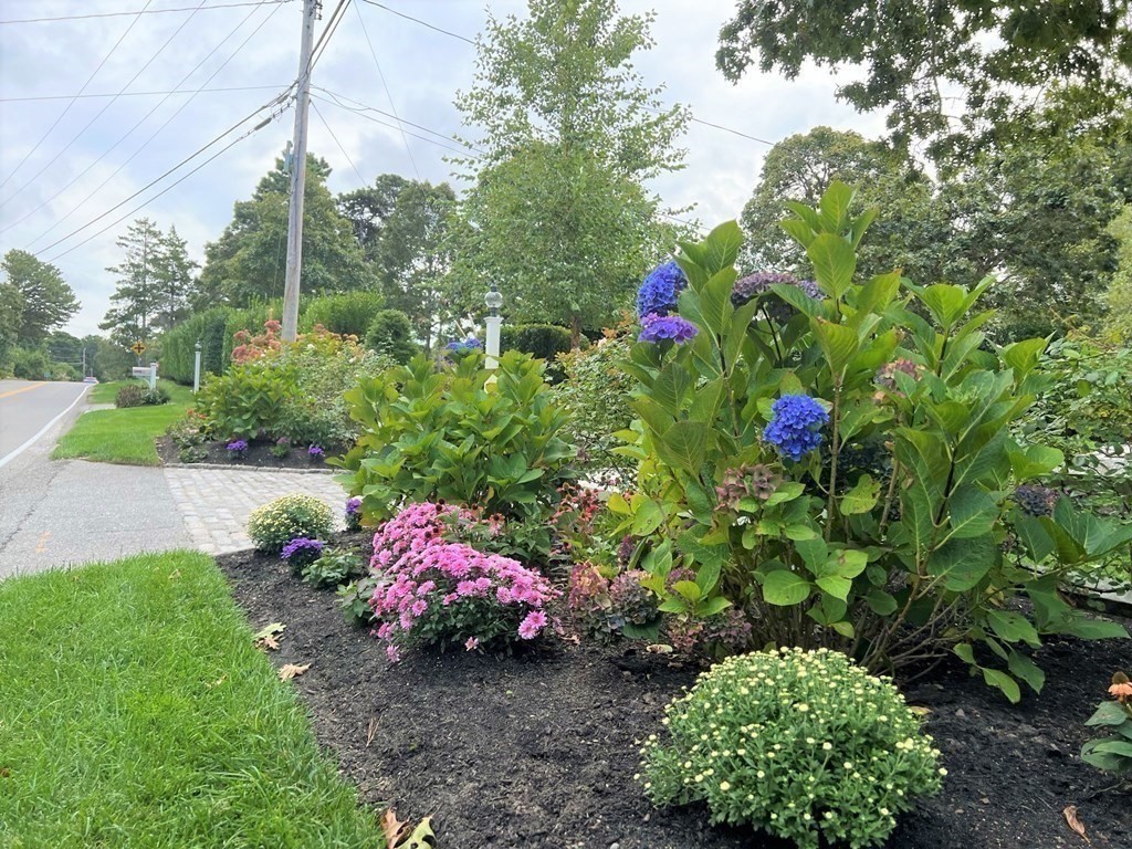 219 Training Field Road Chatham, MA 02633 - Photo 5 of 24 a view of a garden with flowers
