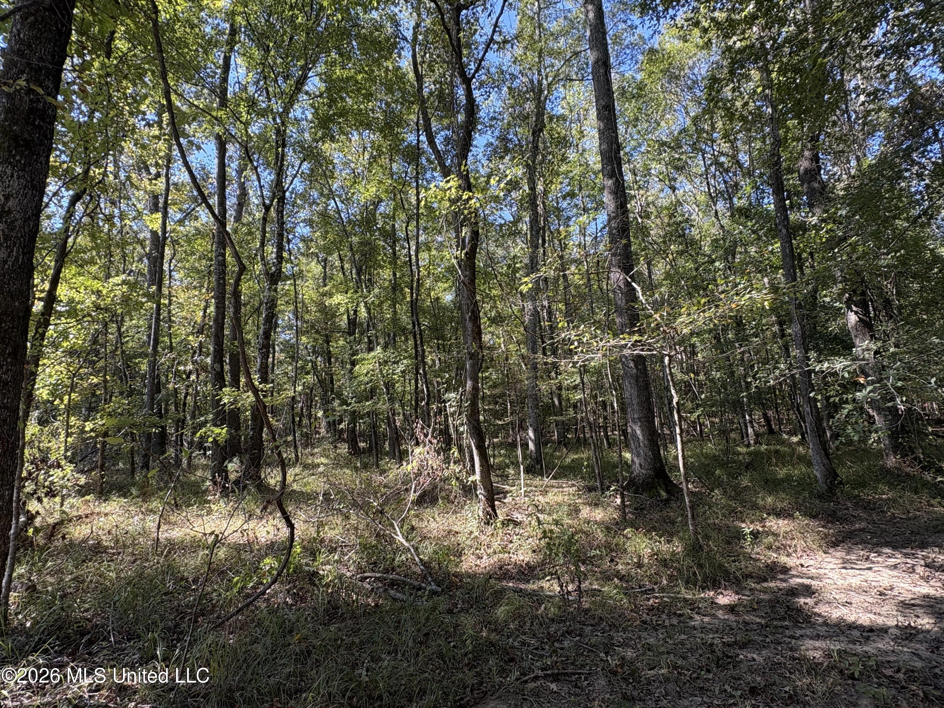 229 Barnes Road Florence, MS 39073 - Photo 27 of 30 IMG_0580