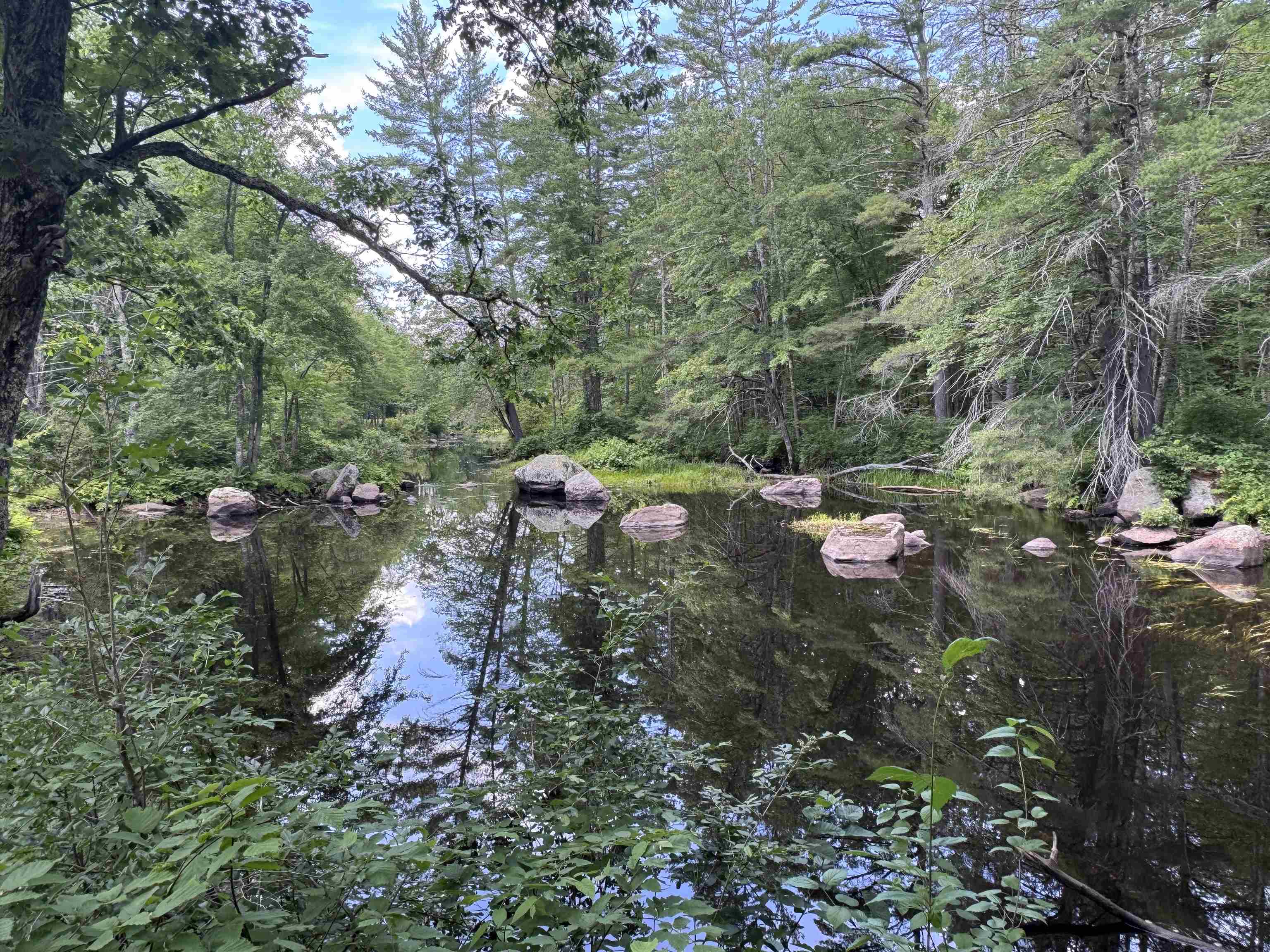 140 Parker Mountain Road Barrington, NH 03825 - Photo 5 of 12