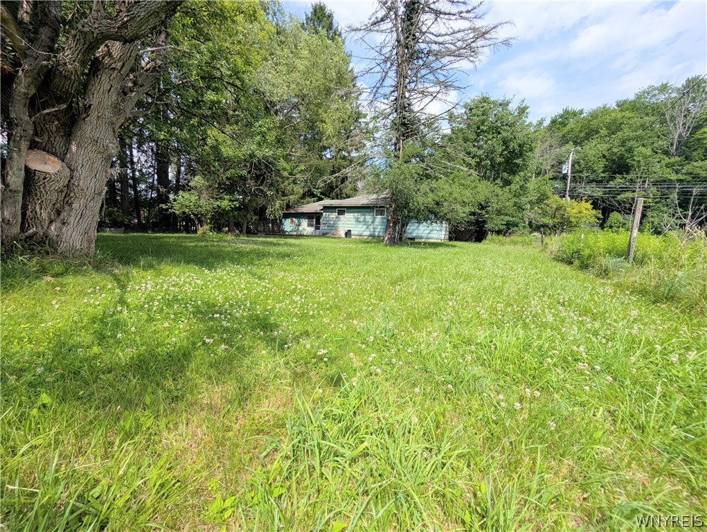 3279 Riverside Drive Scio, NY 14895 - Photo 46 of 48