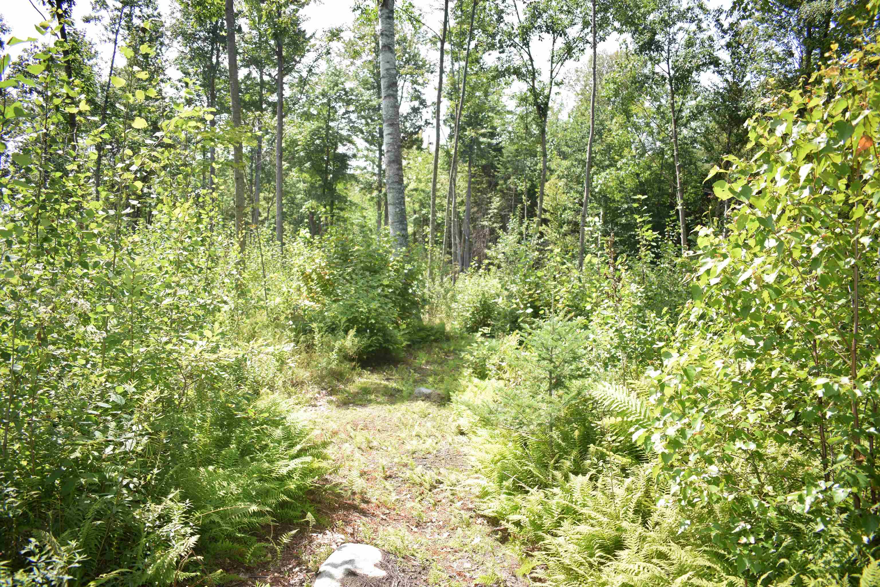 62 Mt Misery Road Littleton, NH 03561 - Photo 13 of 18