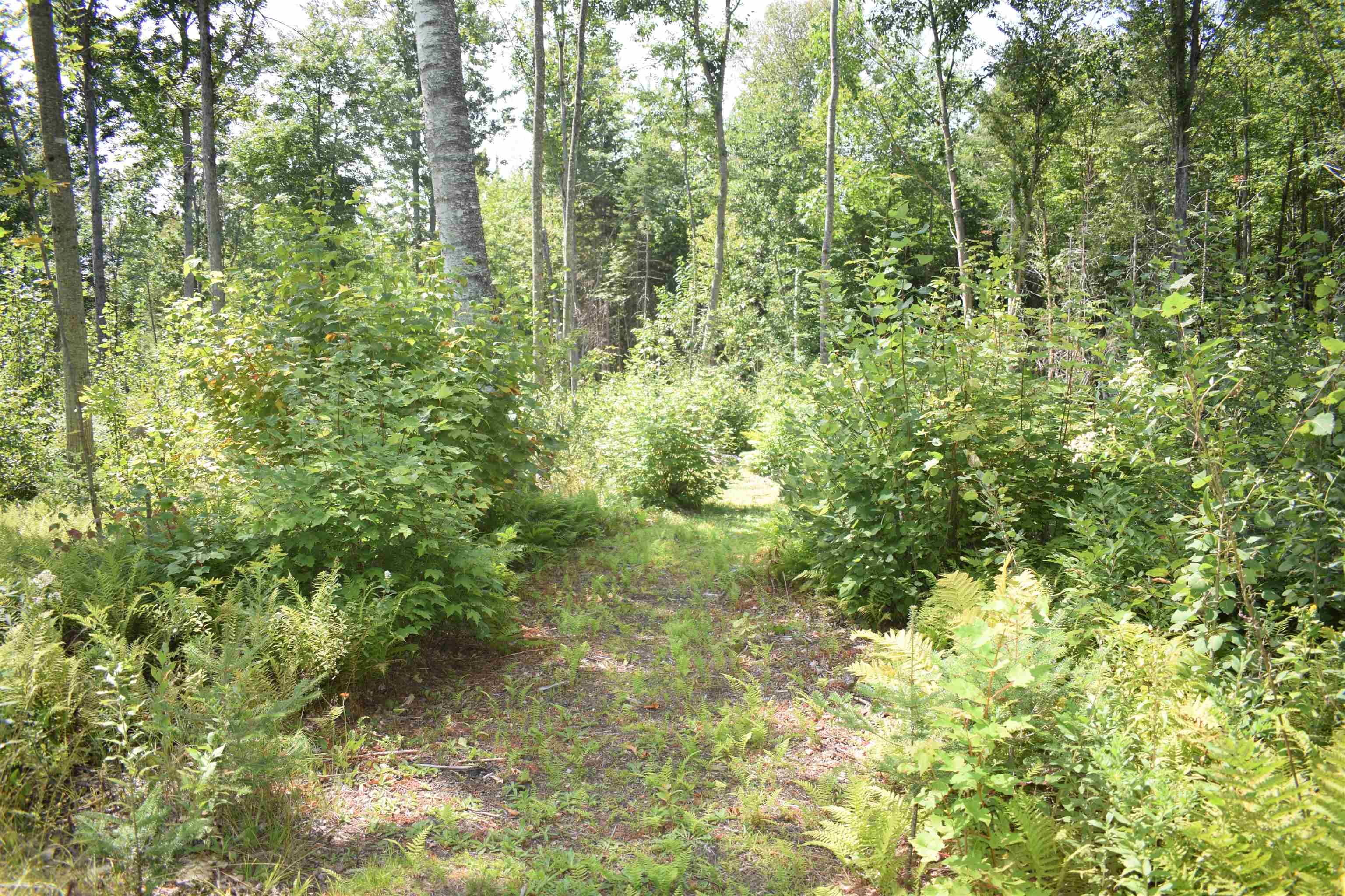 62 Mt Misery Road Littleton, NH 03561 - Photo 14 of 18