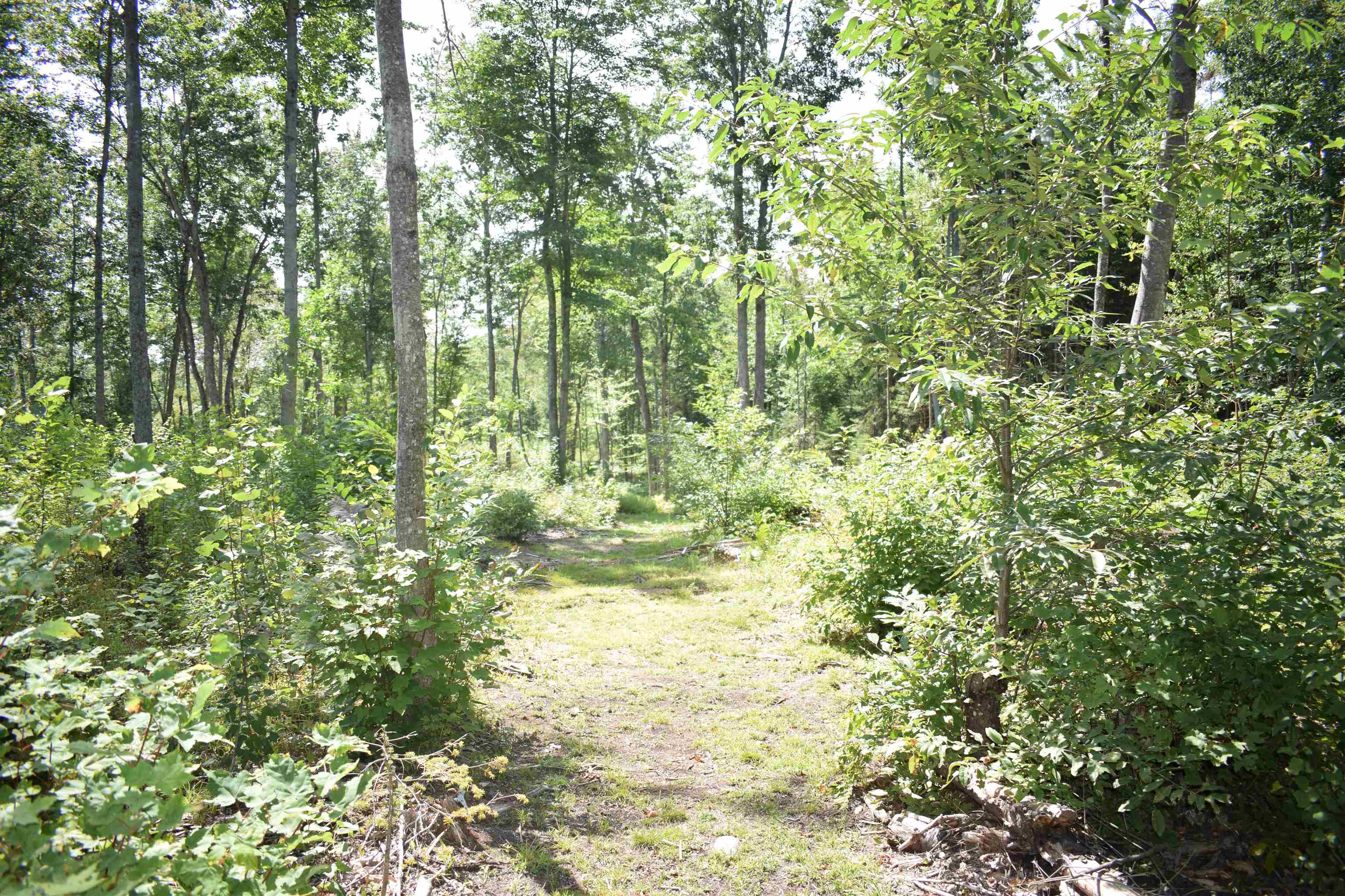 62 Mt Misery Road Littleton, NH 03561 - Photo 15 of 18