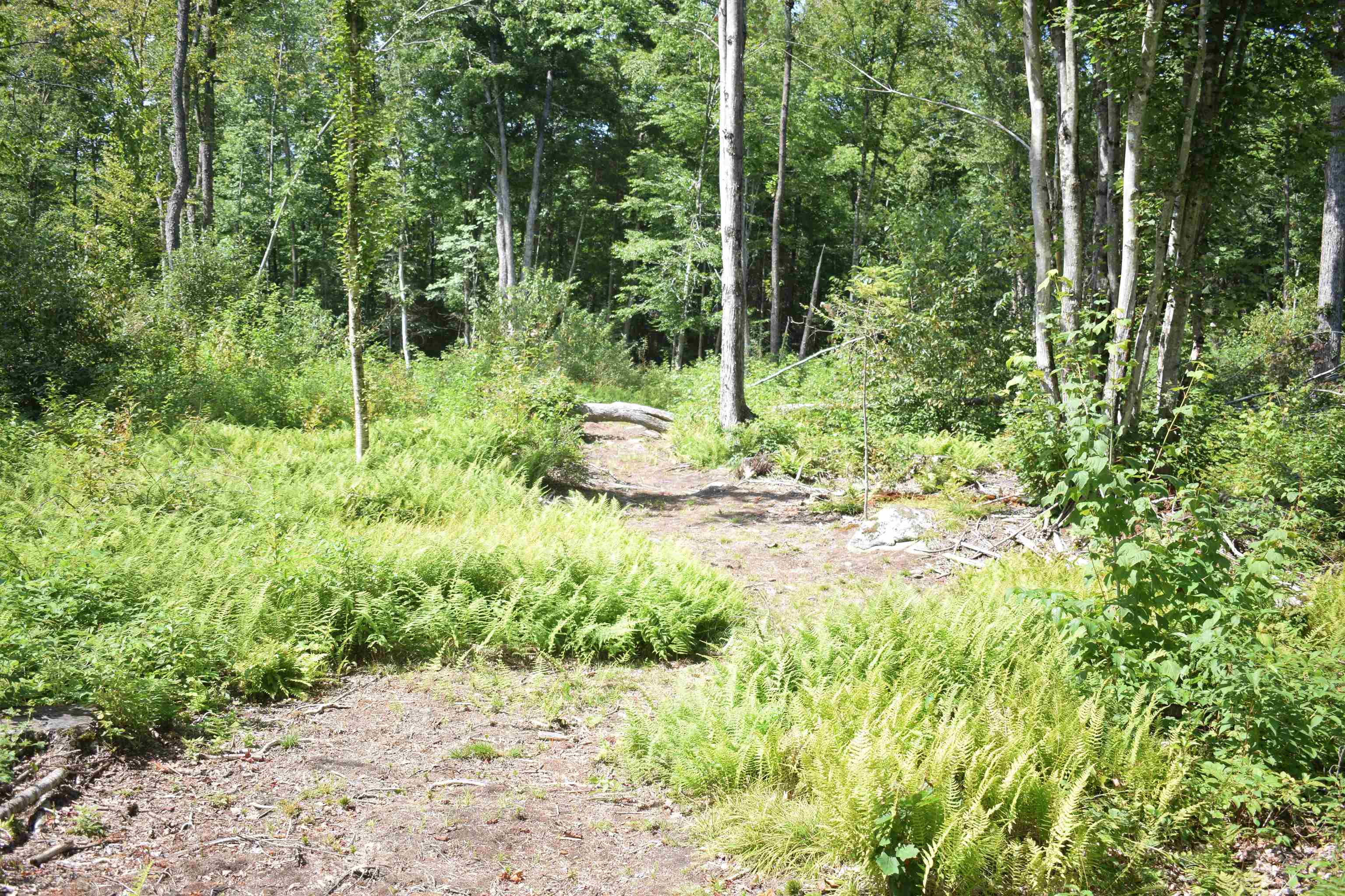 62 Mt Misery Road Littleton, NH 03561 - Photo 16 of 18