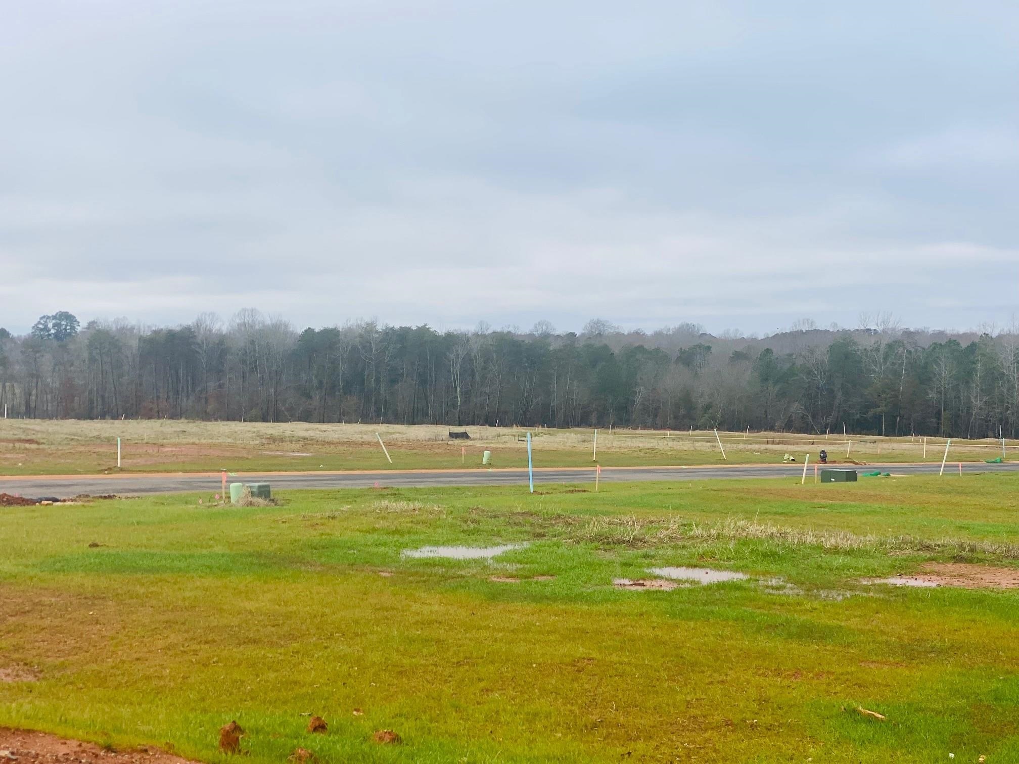 2015 Brechin Road Wellford, SC 29385 - Photo 4 of 5 Gallery Image 4