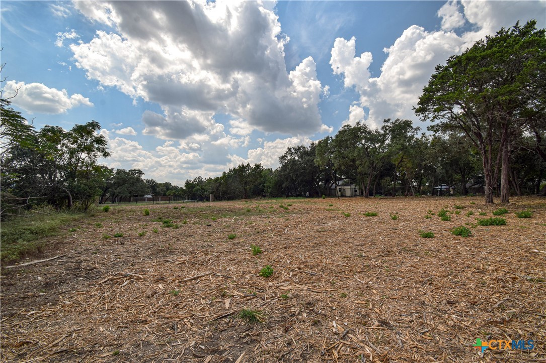 332 Arrowhead Point Road Belton, TX 76513 - Photo 11 of 15 a view of outdoor space