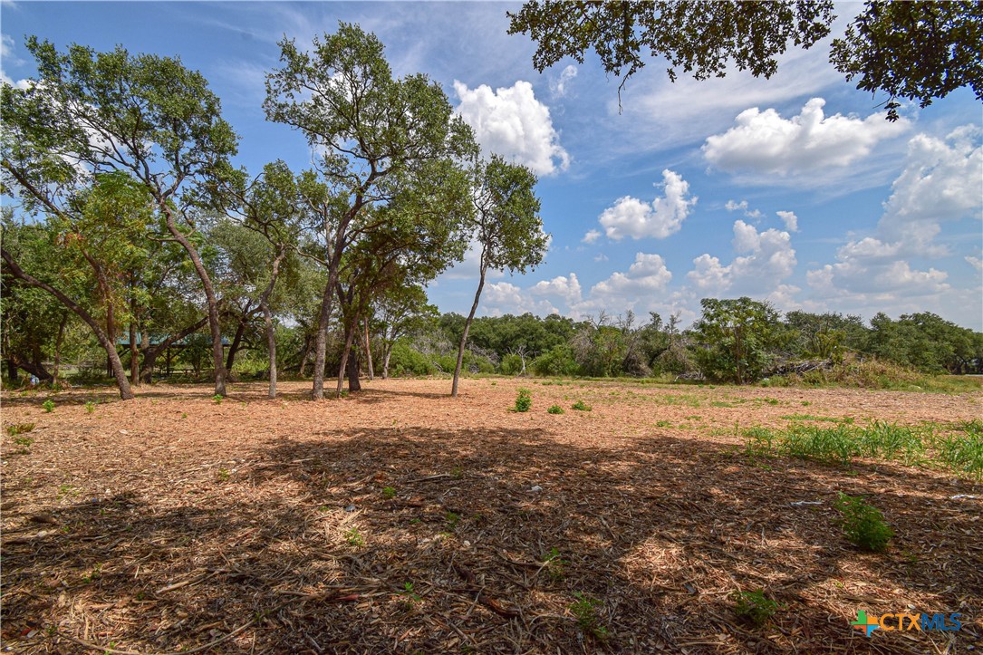 332 Arrowhead Point Road Belton, TX 76513 - Photo 4 of 15 a view of dirt yard with a large tree