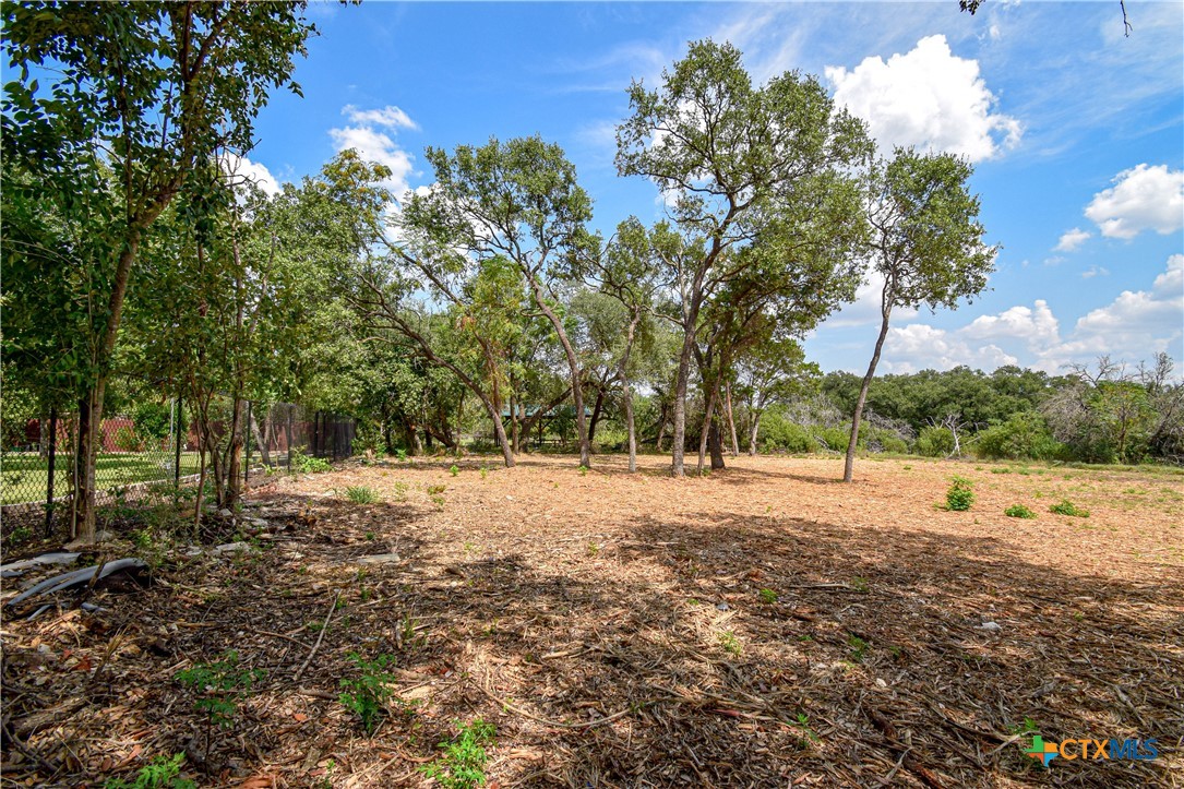 332 Arrowhead Point Road Belton, TX 76513 - Photo 5 of 15 a view of dirt yard with a tree